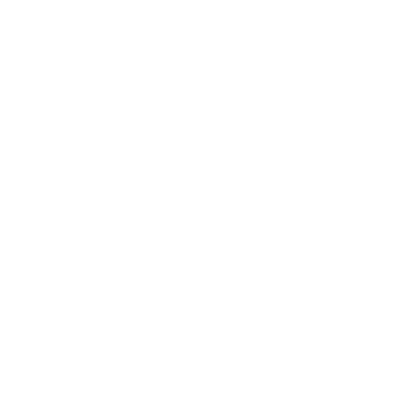 značka Villa Nova logo light