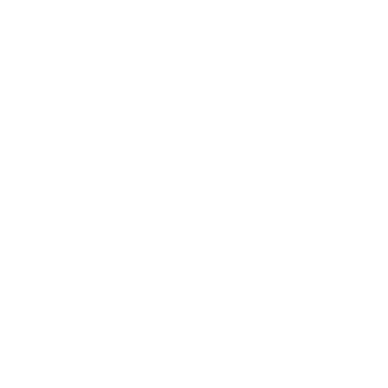 značka Zips logo light
